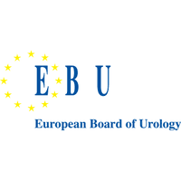 European Board of Urology Certificate