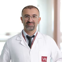 Dr. Mehmet Bulut