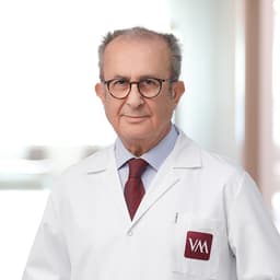 Prof. Dr. Mecit Süerdem