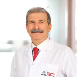 Prof. Dr. Mehmet Parlak 