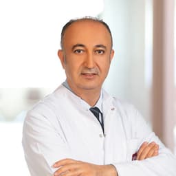 Prof. Dr. Mehmet Tokmak