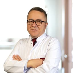 Prof. Dr. Mesut Sezikli