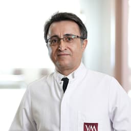 Prof. Dr. Murat Gül