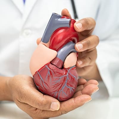 Cardiovascular Procedures