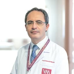 Assoc. Dr. Mehmet Çetinkaya