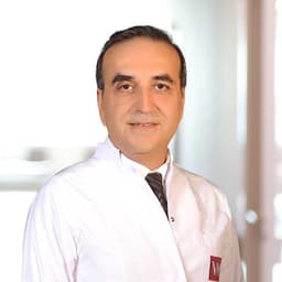 Prof. Dr. Abdulaziz Karadede
