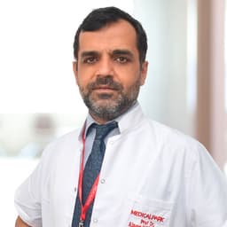 Prof. Dr. Alpay Haktanır