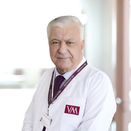 Prof. Dr. Arif Kökçü