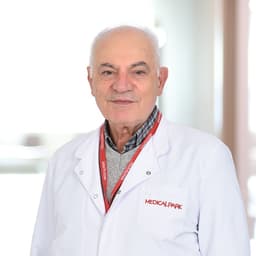 Prof. Dr. Arif Şanlı