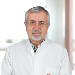 Prof. Dr. Dursun Kırbaş