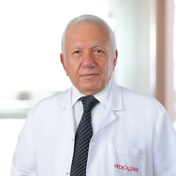 Prof. Dr. Güner Kemal Özgür