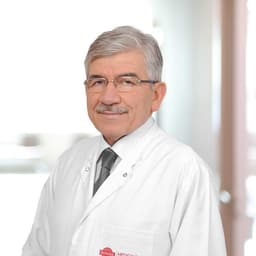 Prof. Dr. Hamit Okur