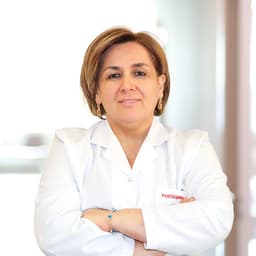 Prof. Dr. Işılay Nadir