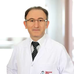 Prof. Dr. Namık Özmen